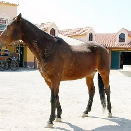 Casa de hóspedes Residencial Morgado 3*