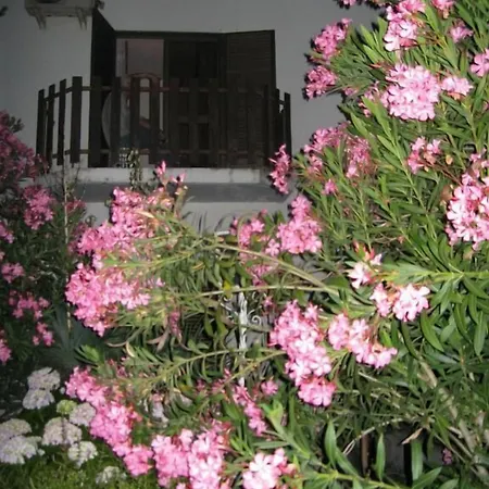 Residencial Morgado Гостевой дом 3*