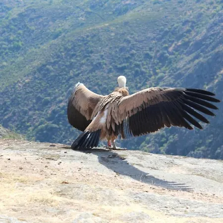 Residencial Morgado 3* Алмейда