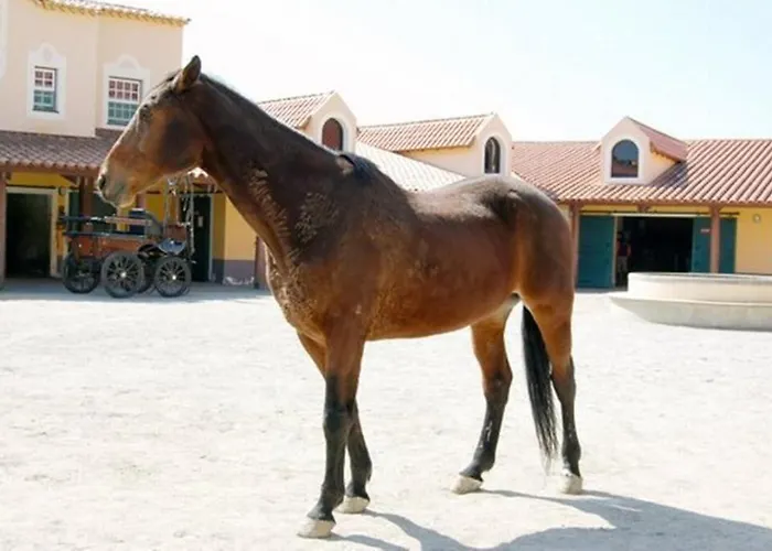 Casa de hóspedes Residencial Morgado 3*