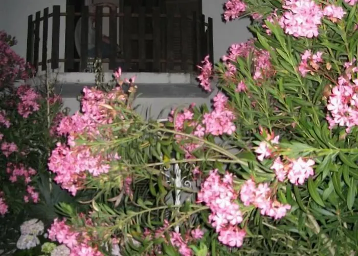 Residencial Morgado Gasthuis 3*