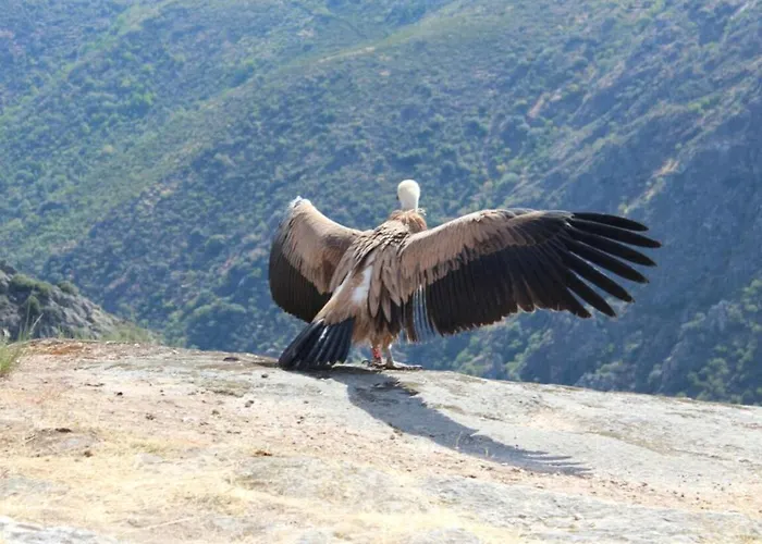 Residencial Morgado 3* Almeida