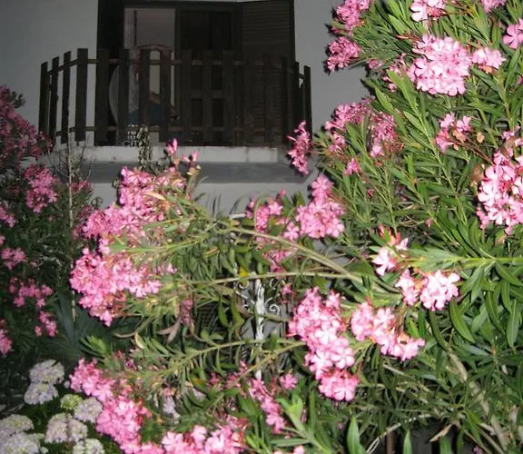 Gasthuis Residencial Morgado 3*